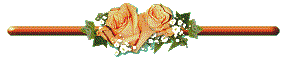 017.gif
